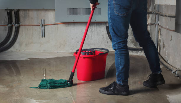 Best Ceiling water damage repair  in Brentwood, TN