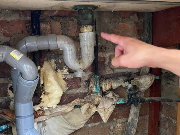 Best Water damage restoration process  in Brentwood, TN